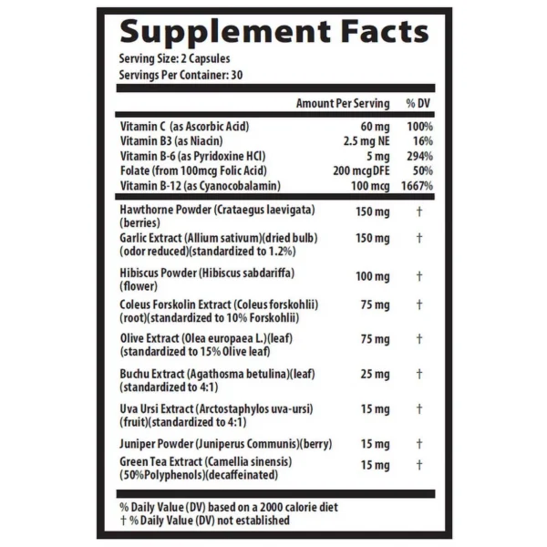 Glucotrust Support Pills - Official Formula - Gluco Trust Capsules with Cinnamon Bark Extract Sugar Levels - Glucotrust Supplement Advanced Strength Original Formula Glucotrust (60 Capsules)